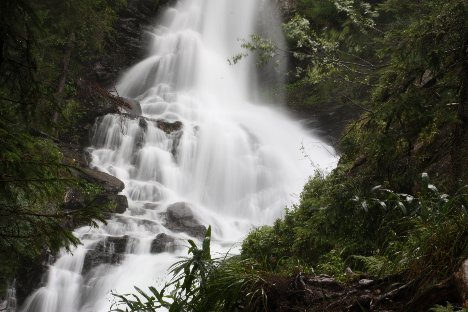 Wilde Wasser in Schladming