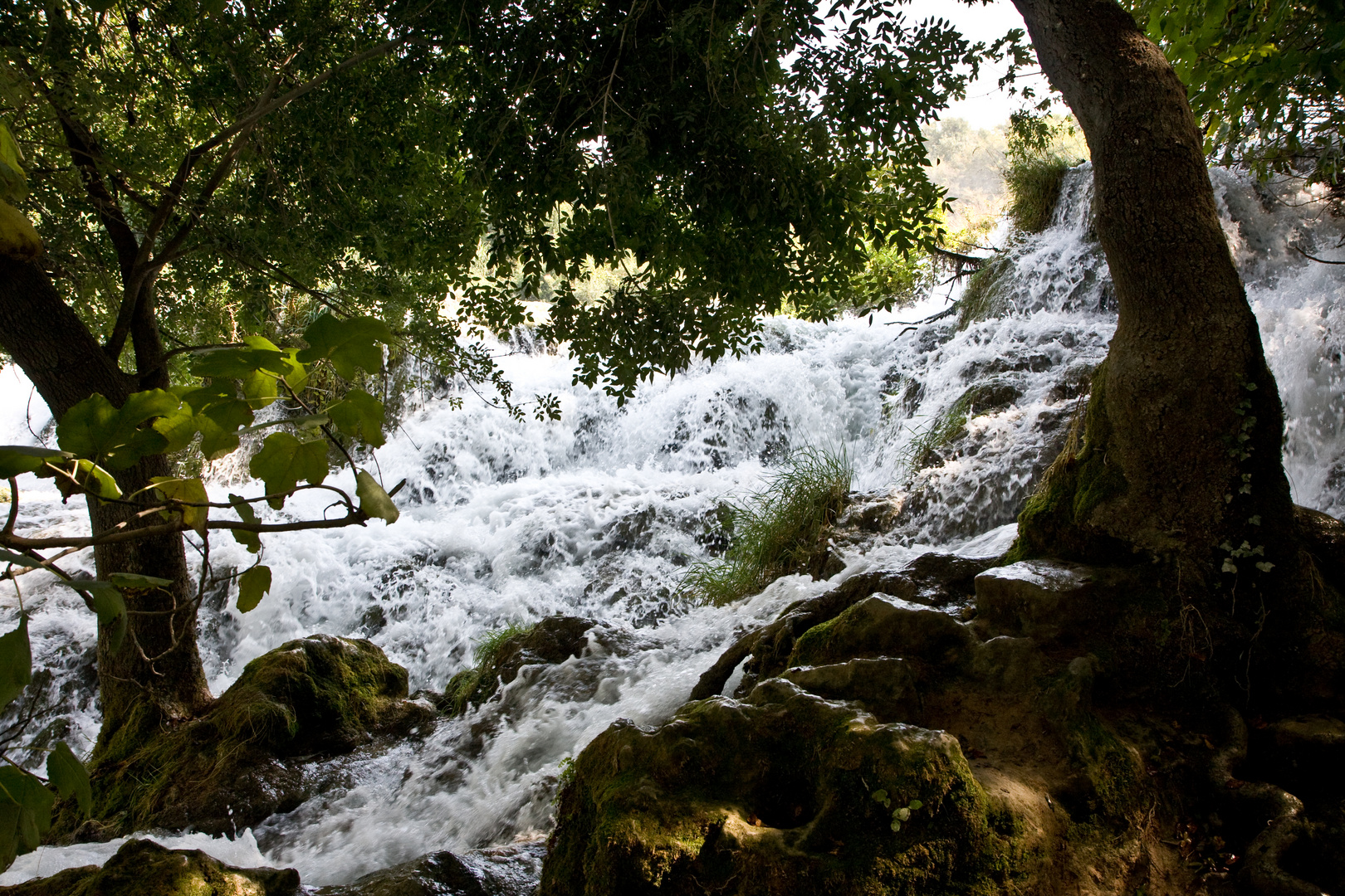 Wilde Wasser Krka