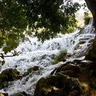 Wilde Wasser Krka