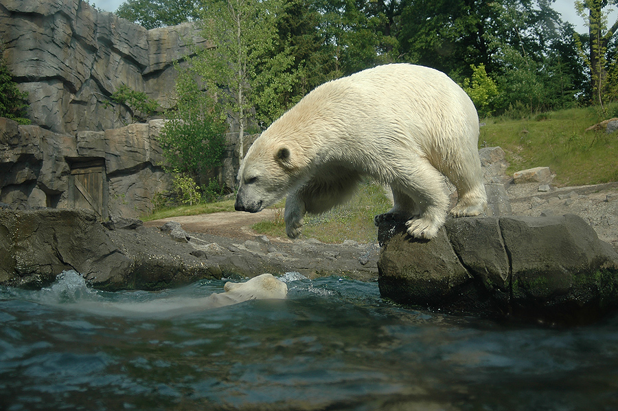 Wilde Wasserspiele