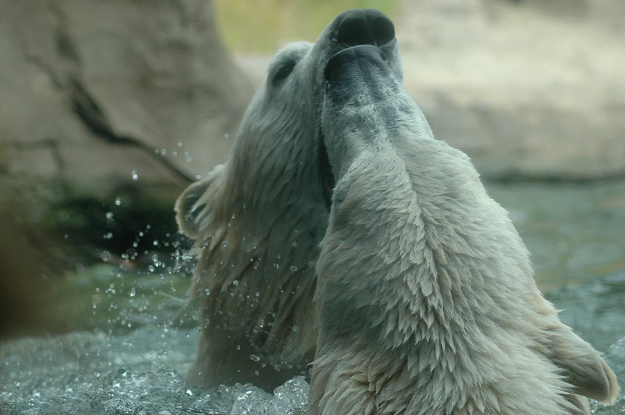 Wilde Wasserspiele / Teil 2