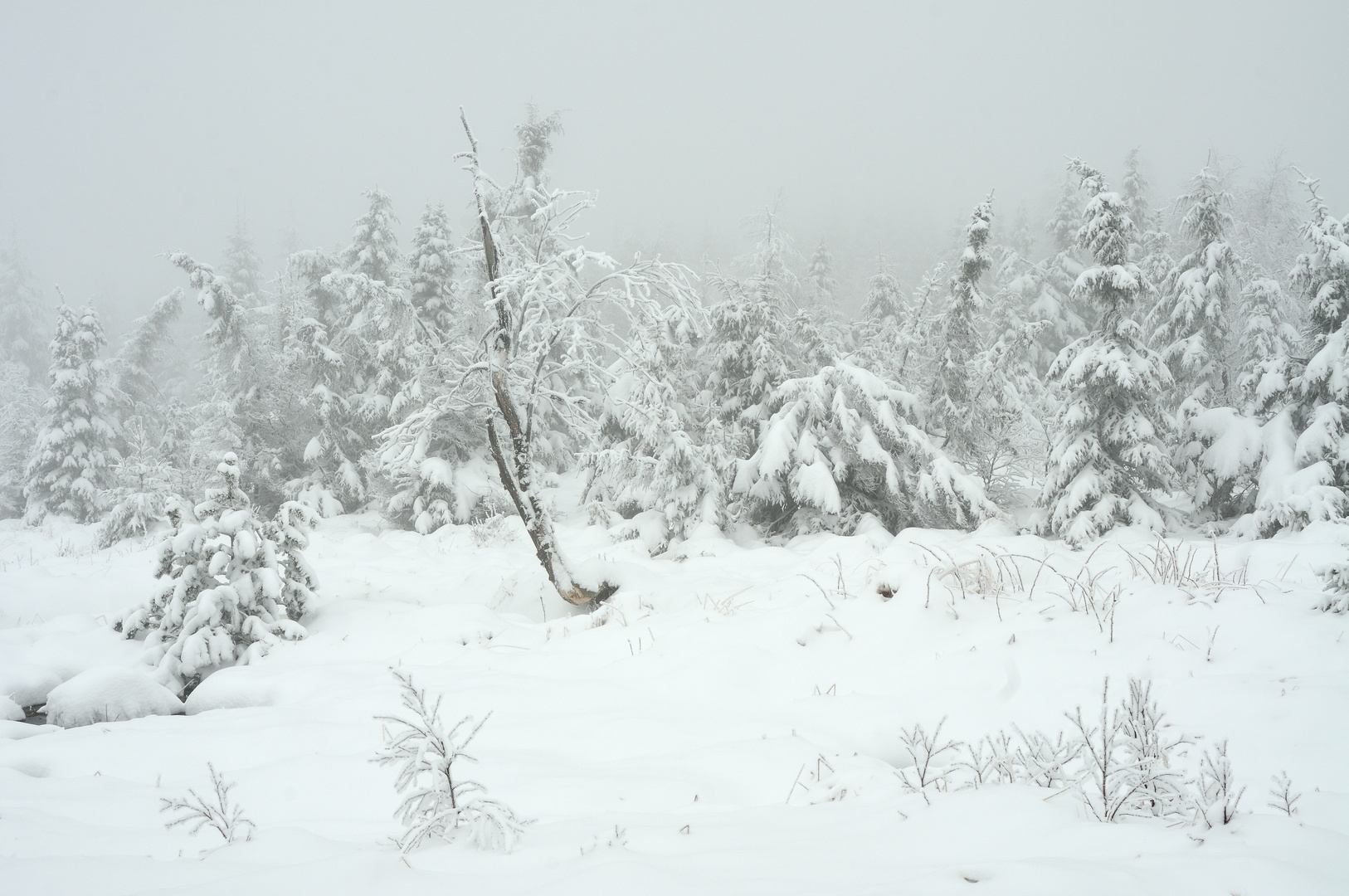 Wilde Winterlandschaft