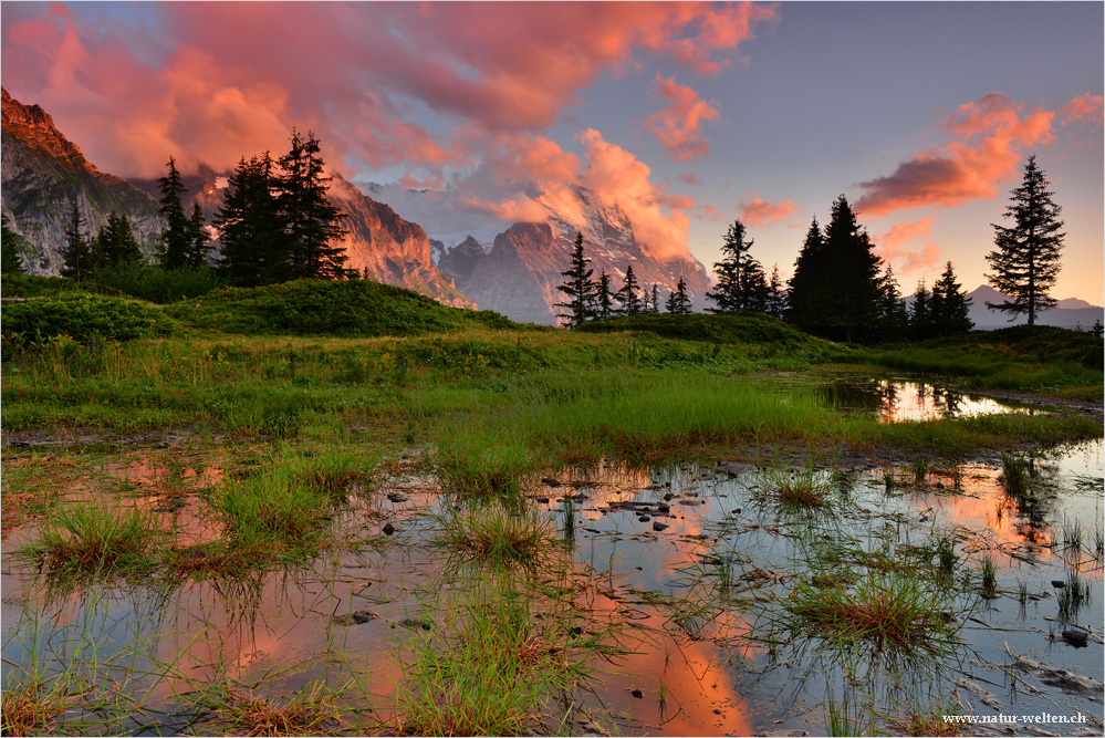 - - - Wilde Wolken - - -