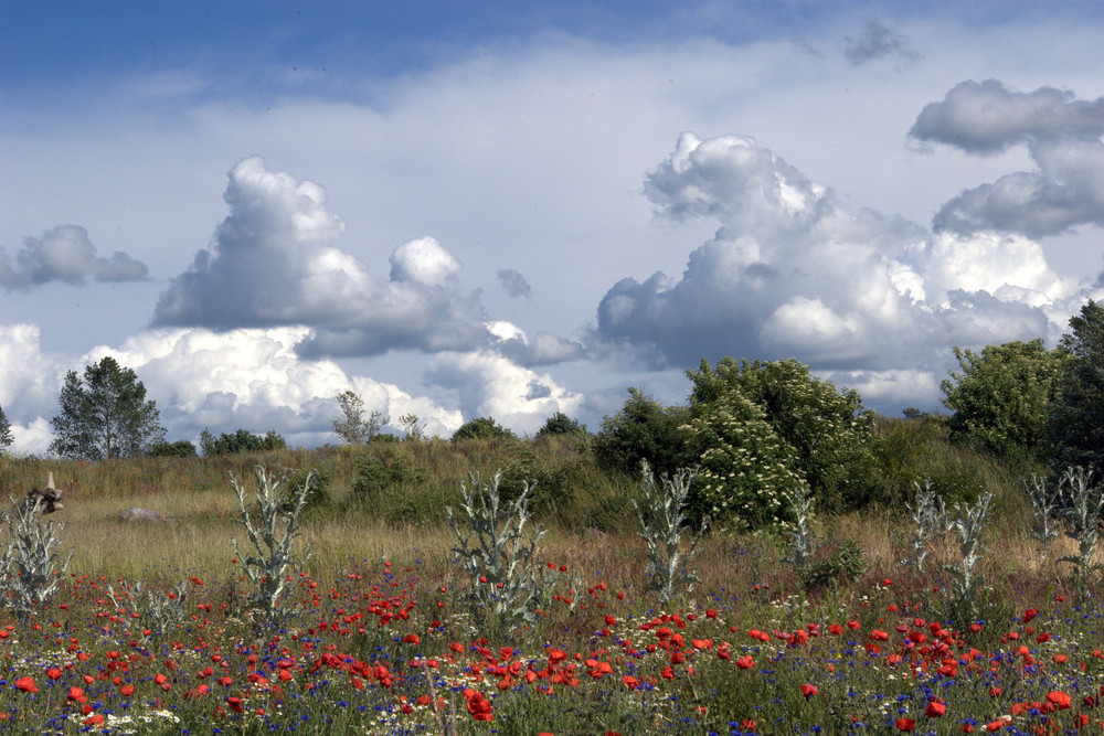 wilde wolken bei barth