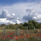 wilde wolken bei barth