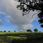 Wilde Wolken