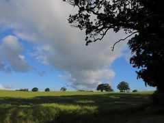 Wilde Wolken