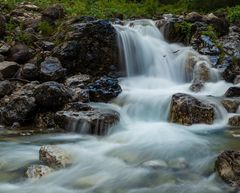 Wildenbach - Kleinwalsertal