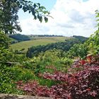 Wildenburg, Eifel, Aussicht