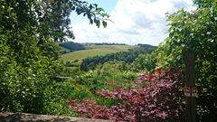 Wildenburg, Eifel, Aussicht