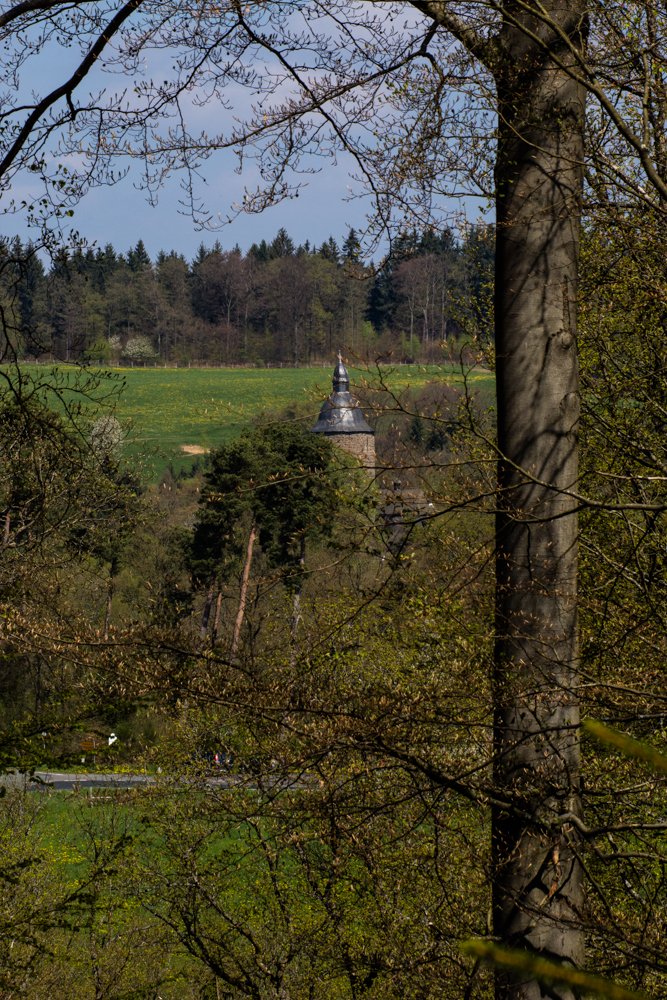 Wildenburg im Frühling