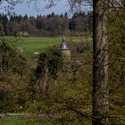 Wildenburg im Frühling