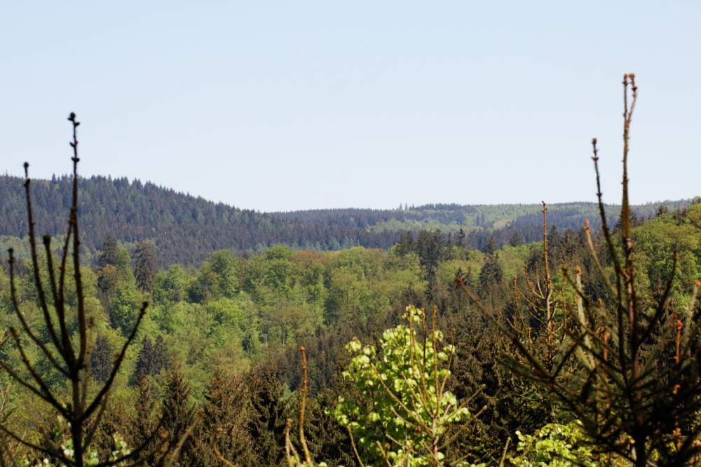 Wildenburger Land im Frühling