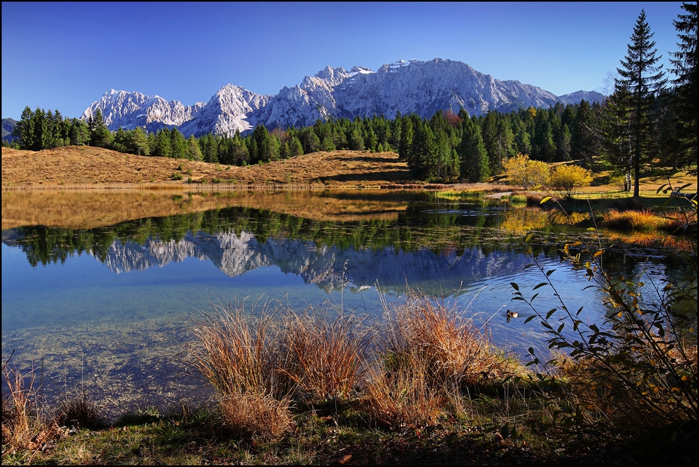 ~ WILDENSEEHERBST ~