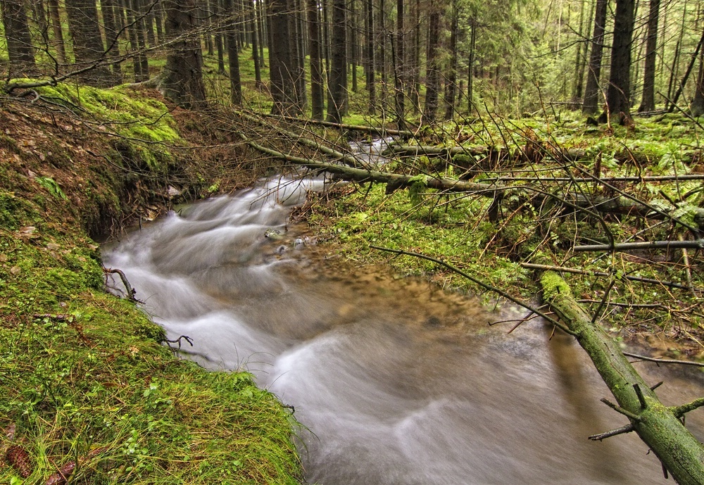 Wilder Bach Foto & Bild landschaft, bach, fluss & see, bachläufe