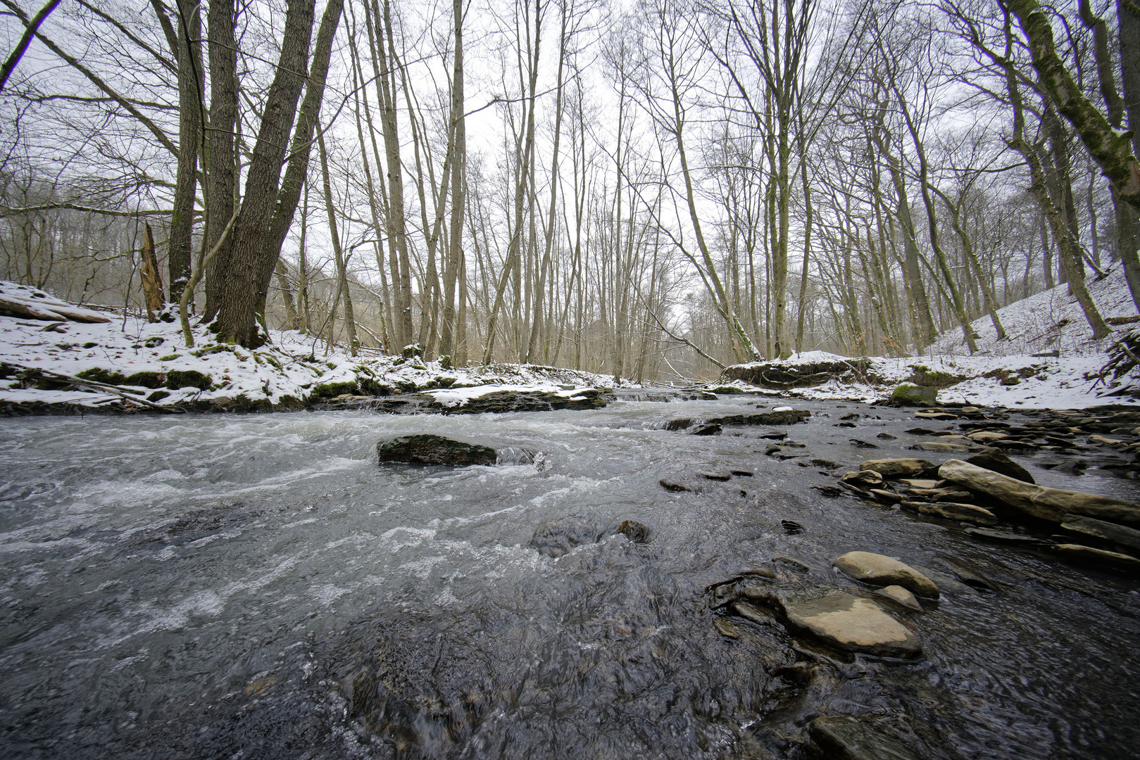 Wilder Fischbach