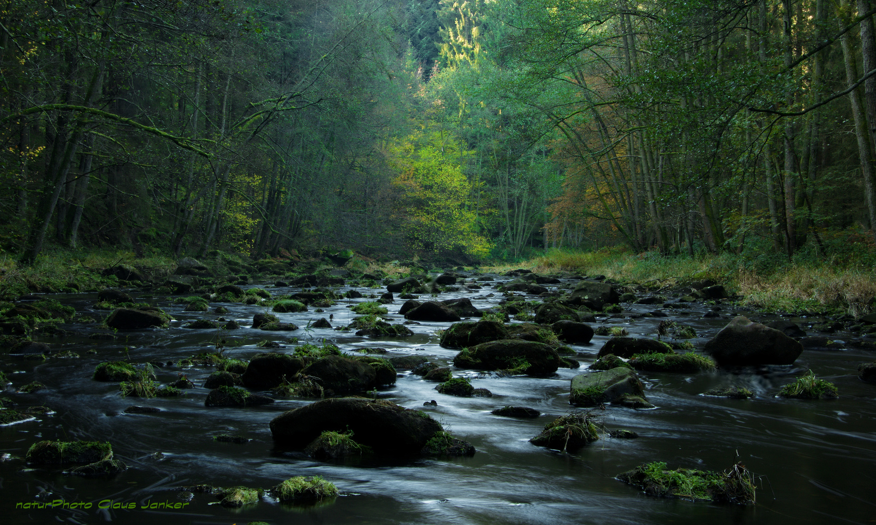 Wilder Fluß