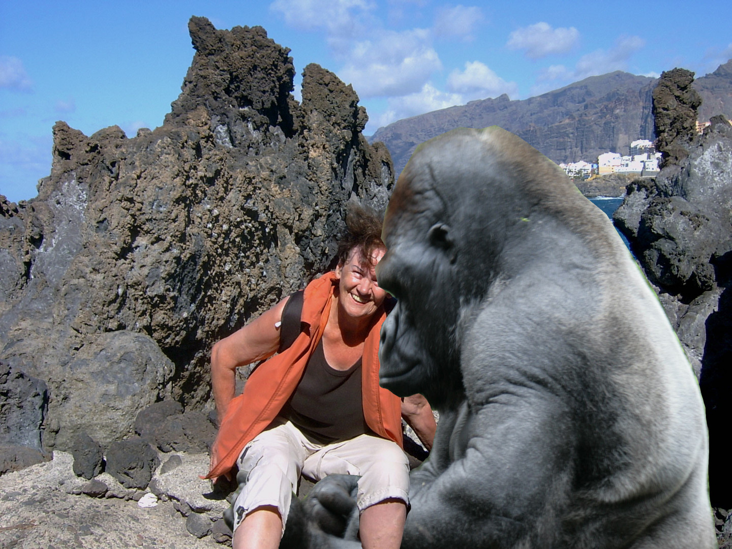 Wilder Gorilla entführt OMA...;-)