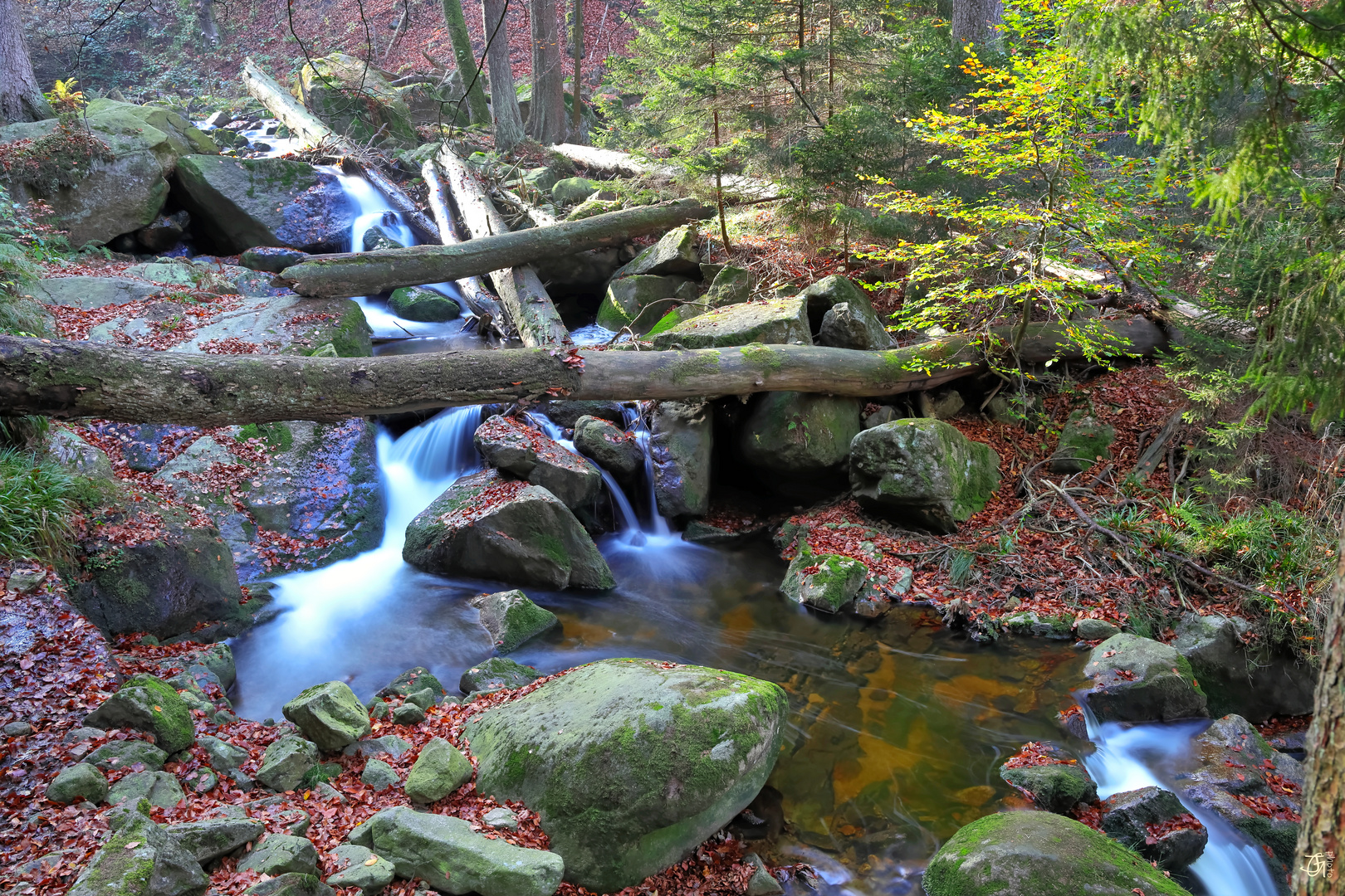 Wilder Harz - das Ilsetal