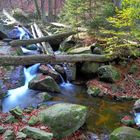 Wilder Harz - das Ilsetal