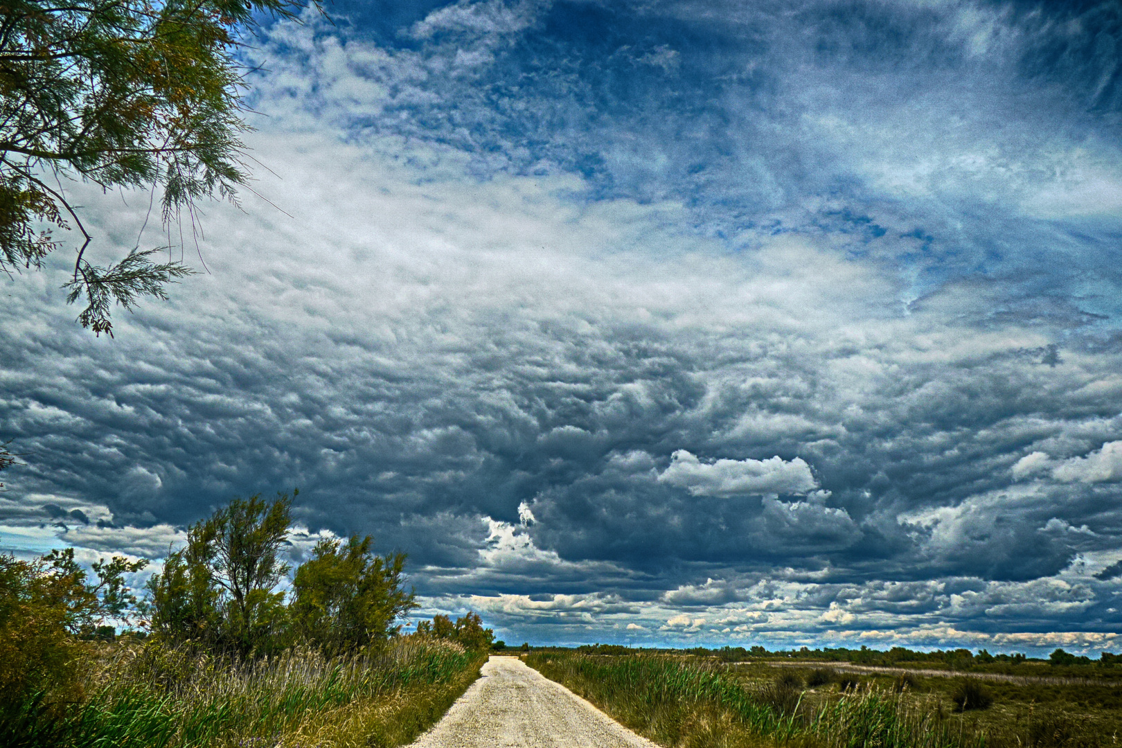 Wilder Himmel über der Camargue