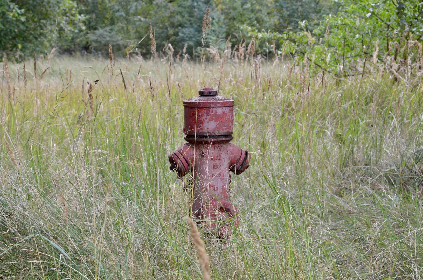 Wilder Hydrant