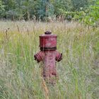 Wilder Hydrant