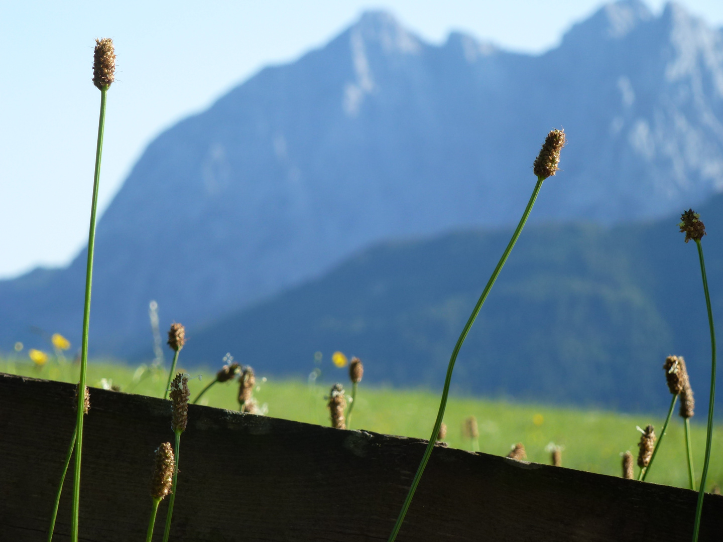 Wilder Kaiser