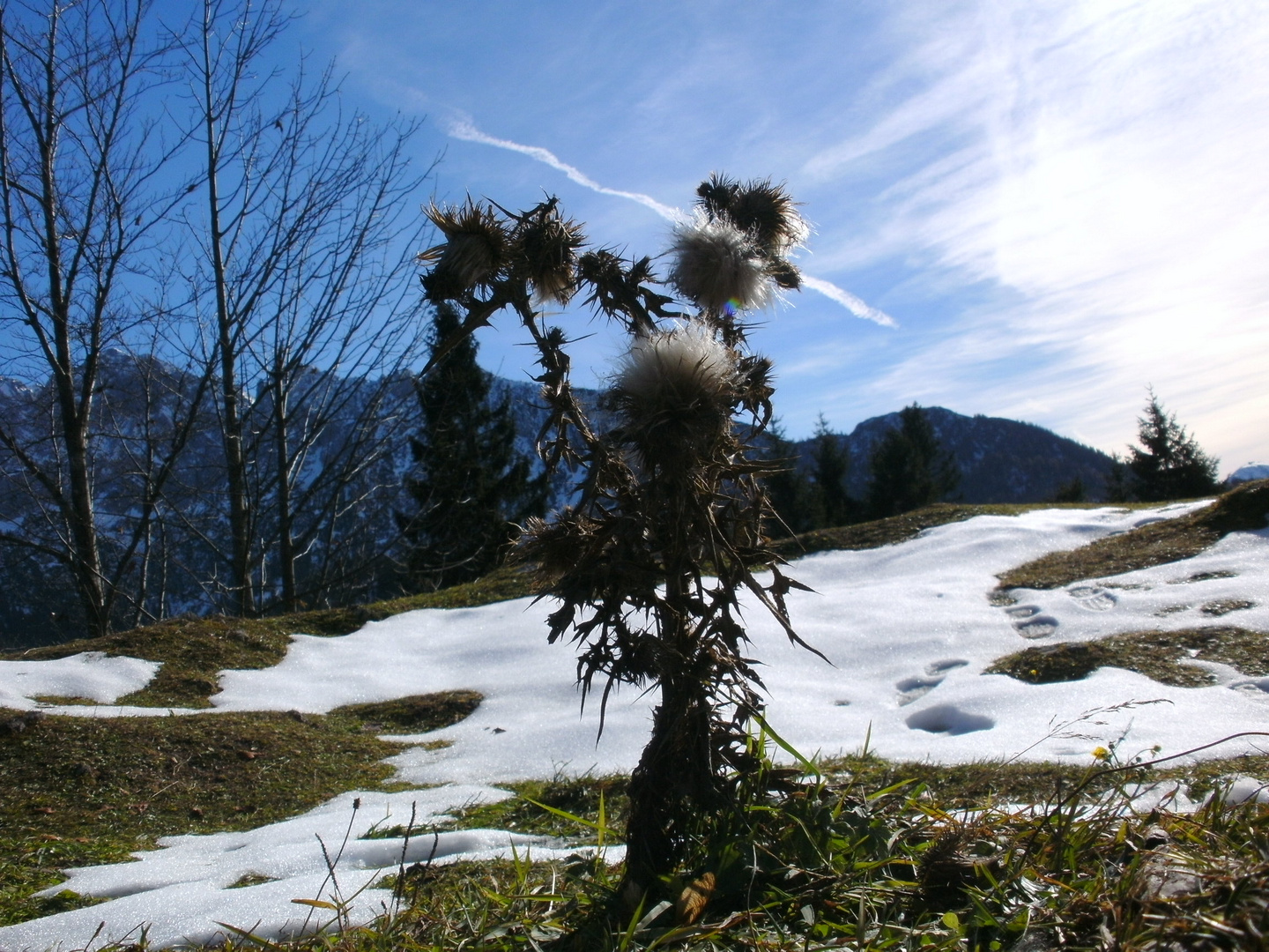 Wilder Kaiser