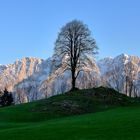 WILDER KAISER