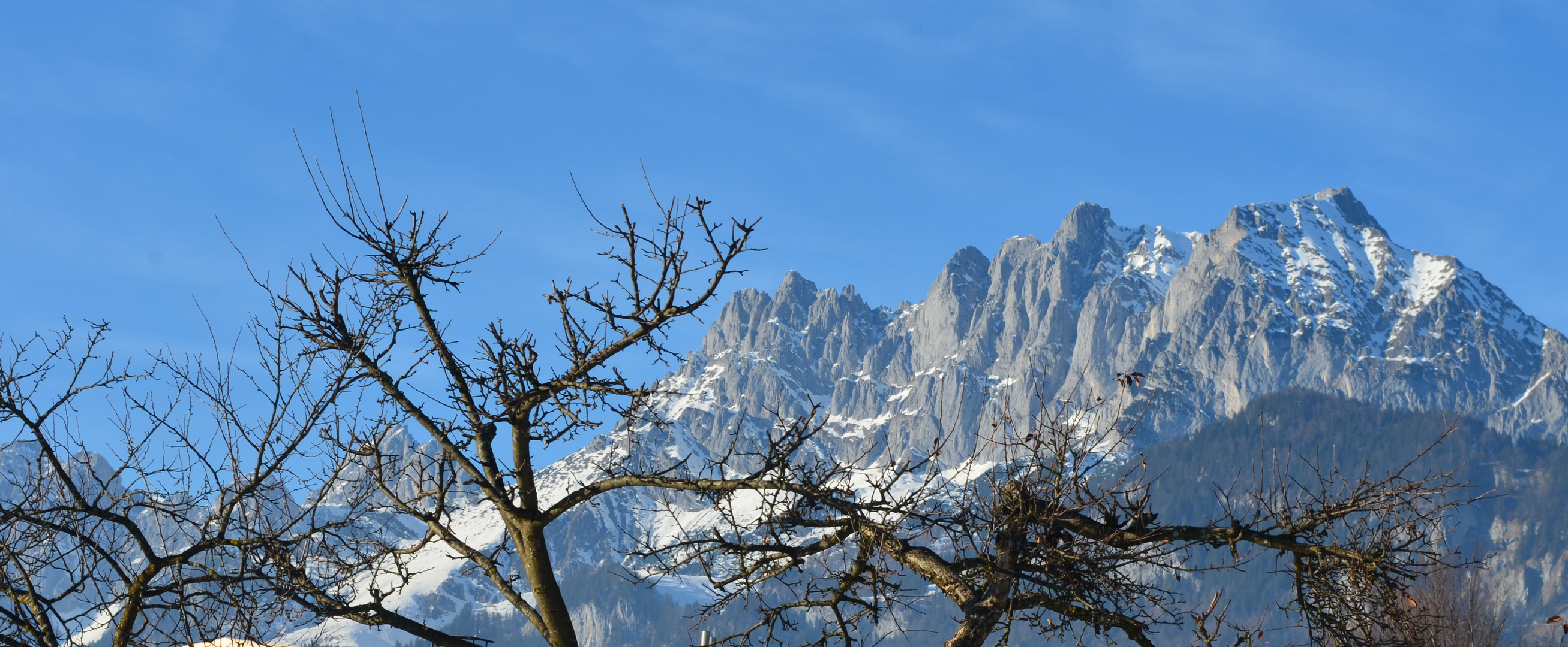 Wilder Kaiser