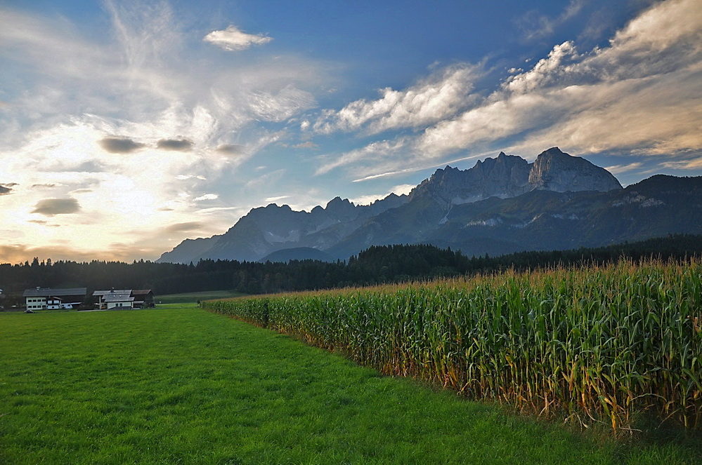 Wilder Kaiser