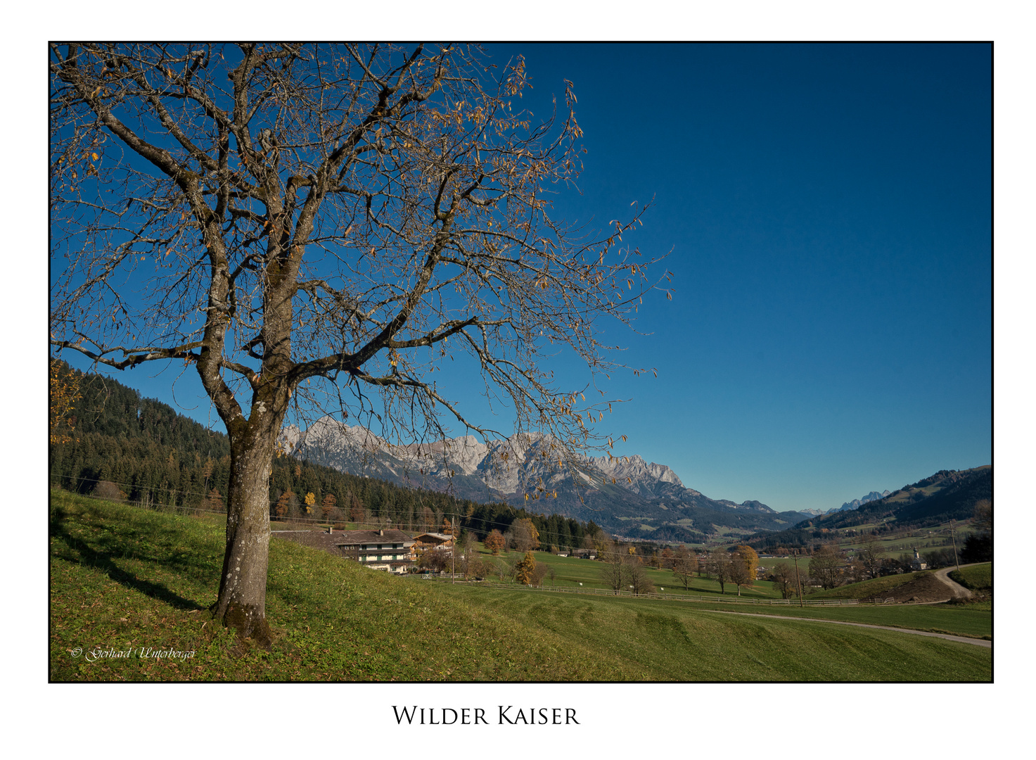 Wilder Kaiser