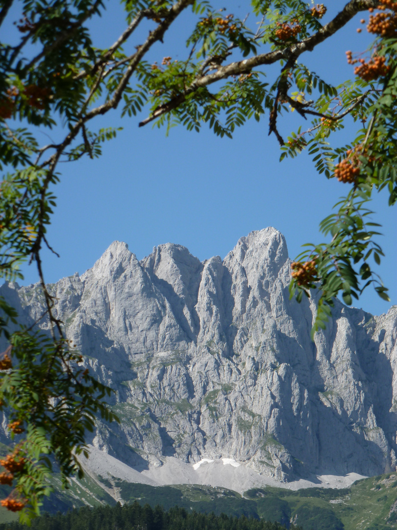 WILDER KAISER-BLICK