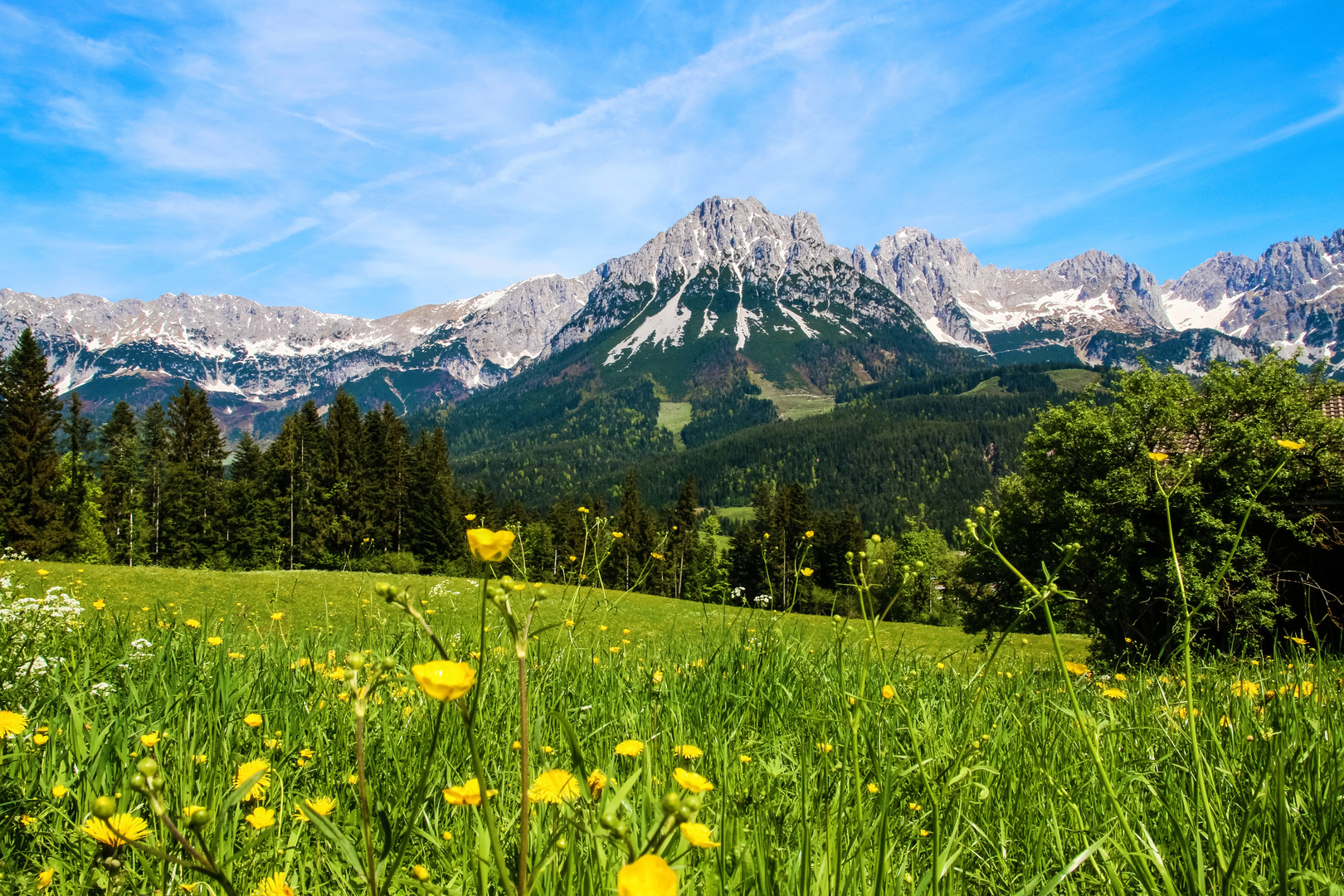 WILDER KAISER