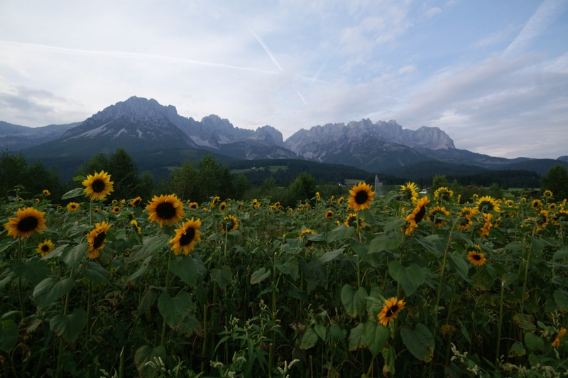 Wilder Kaiser II