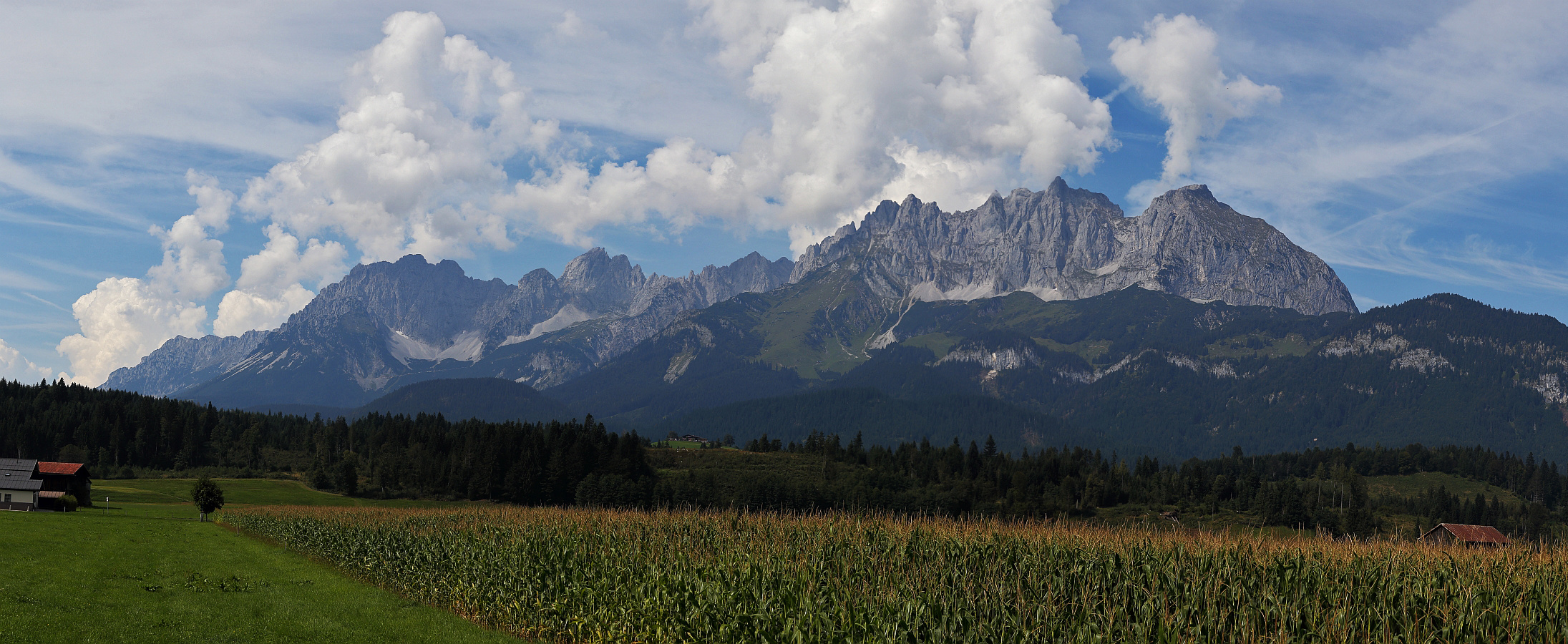 Wilder Kaiser in Tirol von einem Feld Nähe Kitzbühel 