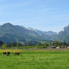 Wilder Kaiser, Zahmer Kaiser