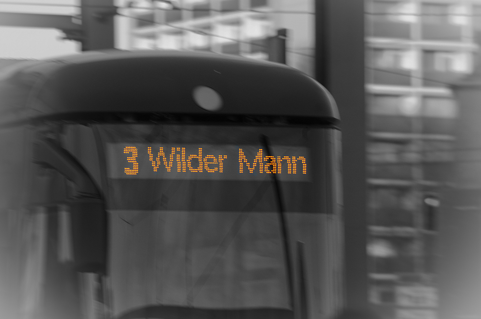 Wilder Mann