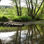 Wilder Mühlbach Mitte Mai