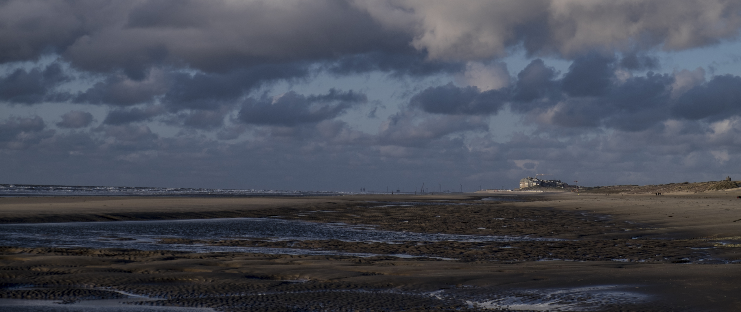 wilder Nordseestrand