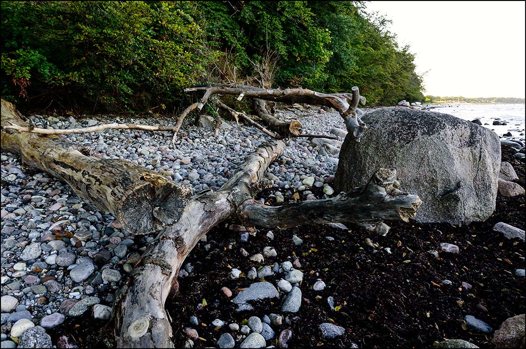 Wilder Ostsee-Strand bei Göhren