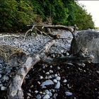 Wilder Ostsee-Strand bei Göhren