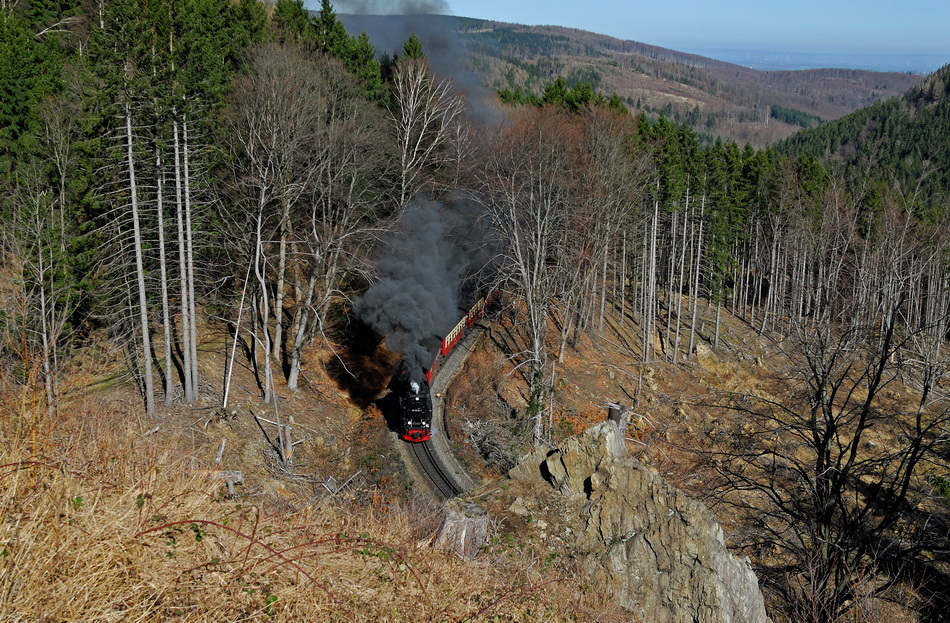 wilder romantischer Harz