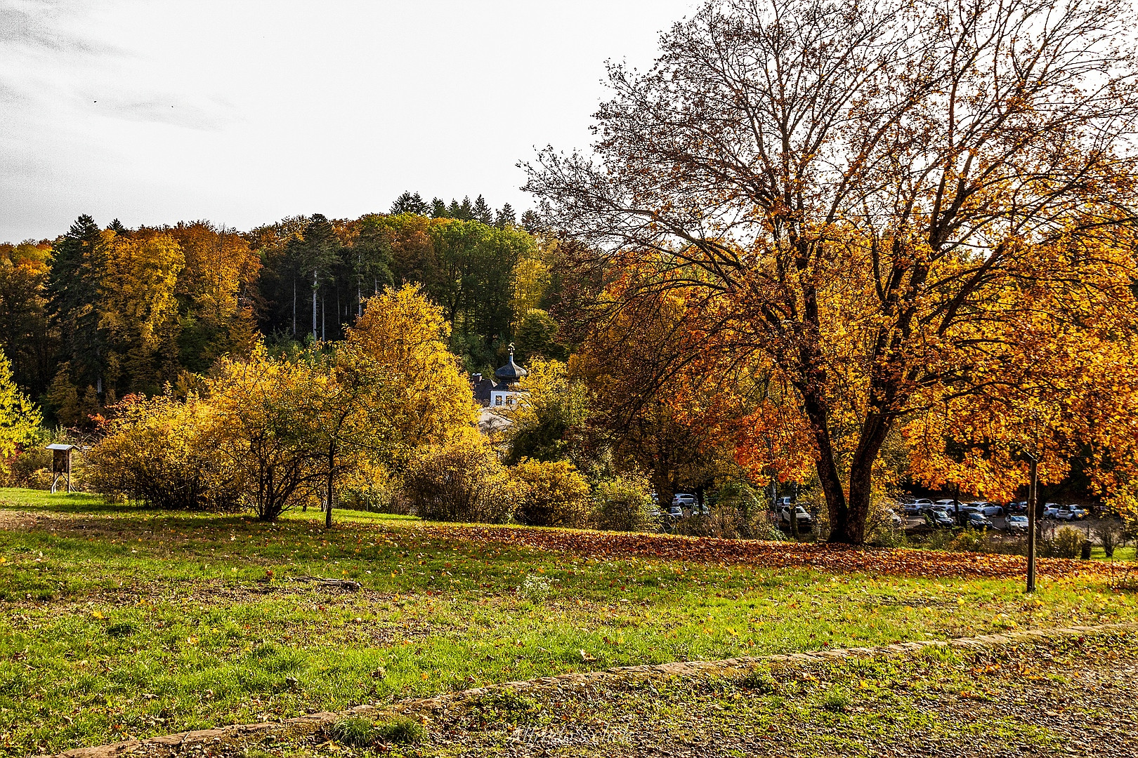 Wilder Rosengarten im Herbst.