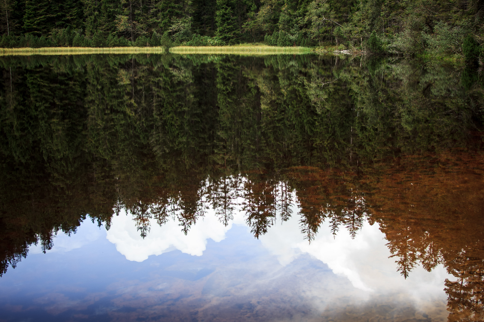 Wilder See fängt Himmel ein