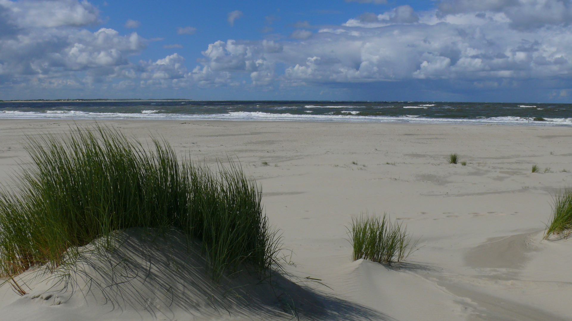 Wilder Strand auf Langeoog