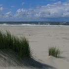 Wilder Strand auf Langeoog