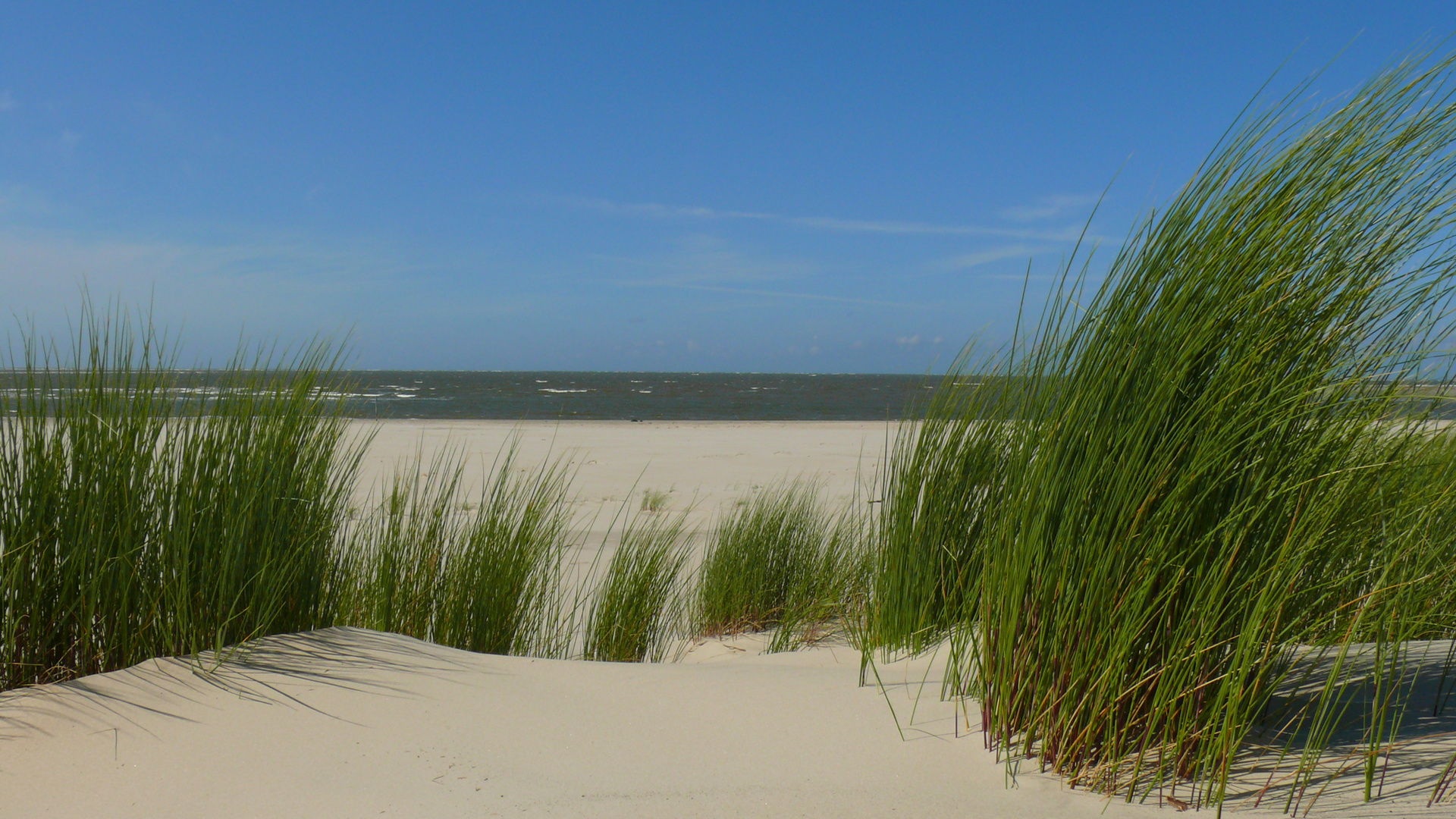 Wilder Strand auf Langeoog