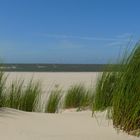 Wilder Strand auf Langeoog